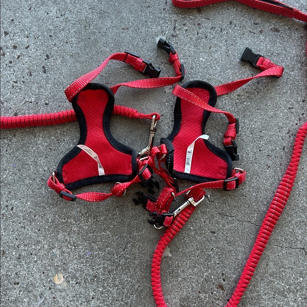 Red Cat Pet Harness and Leash Set